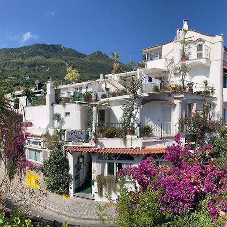 Hotel La Maggioressa Casamicciola Terme Zewnętrze zdjęcie